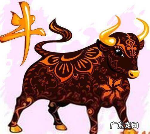 风水先生是什么生肖 风水最好的是什么生肖动物