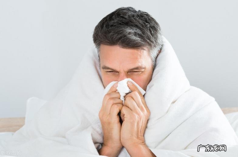 北柴胡的功效与作用的功能与主治 白术的功效与作用点及副作用