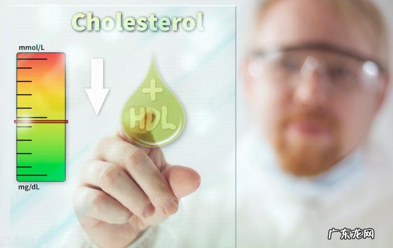 北柴胡的功效与作用的功能与主治 白术的功效与作用点及副作用