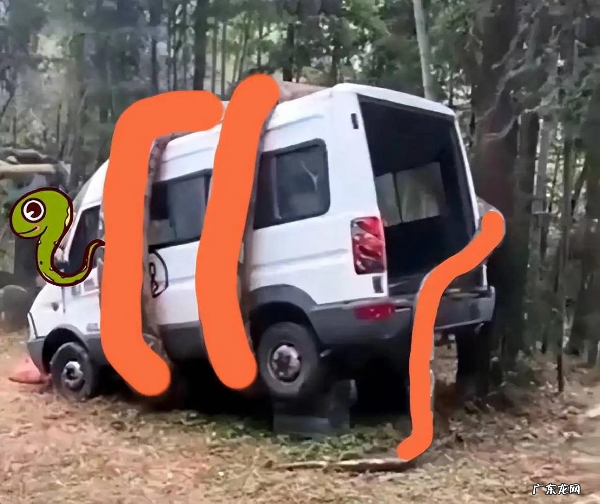 中国最大一条蛇多大乔戈里峰有人登过顶没 中国最大的蛇有多少米