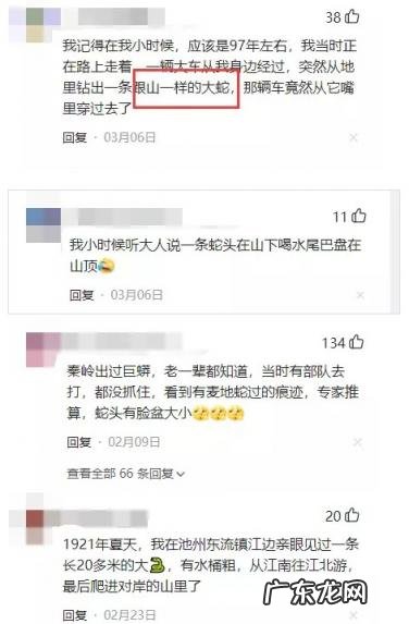 中国最大一条蛇多大乔戈里峰有人登过顶没 中国最大的蛇有多少米