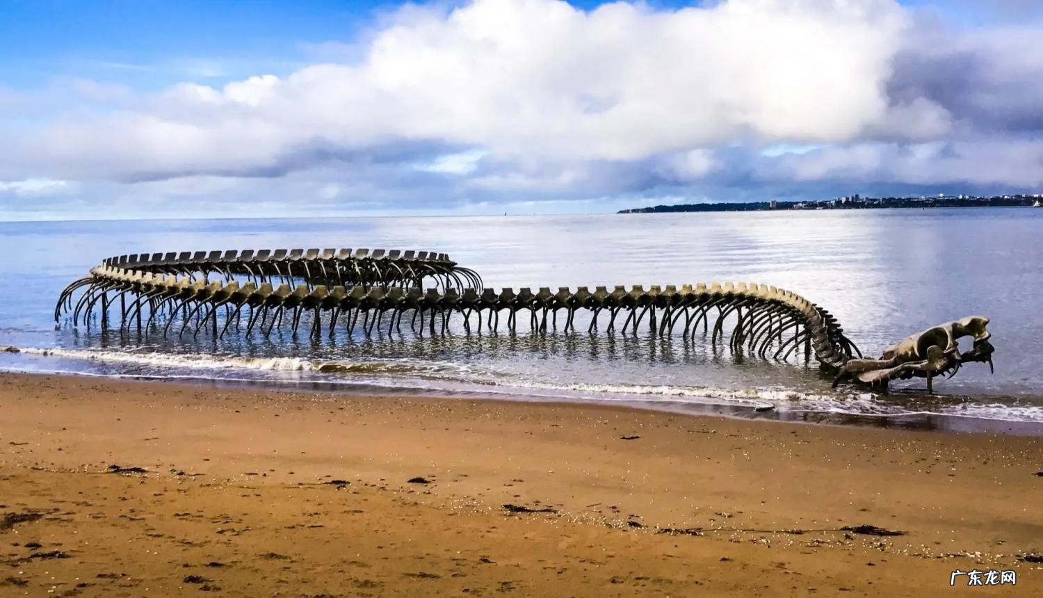 中国最大一条蛇多大乔戈里峰有人登过顶没 中国最大的蛇有多少米