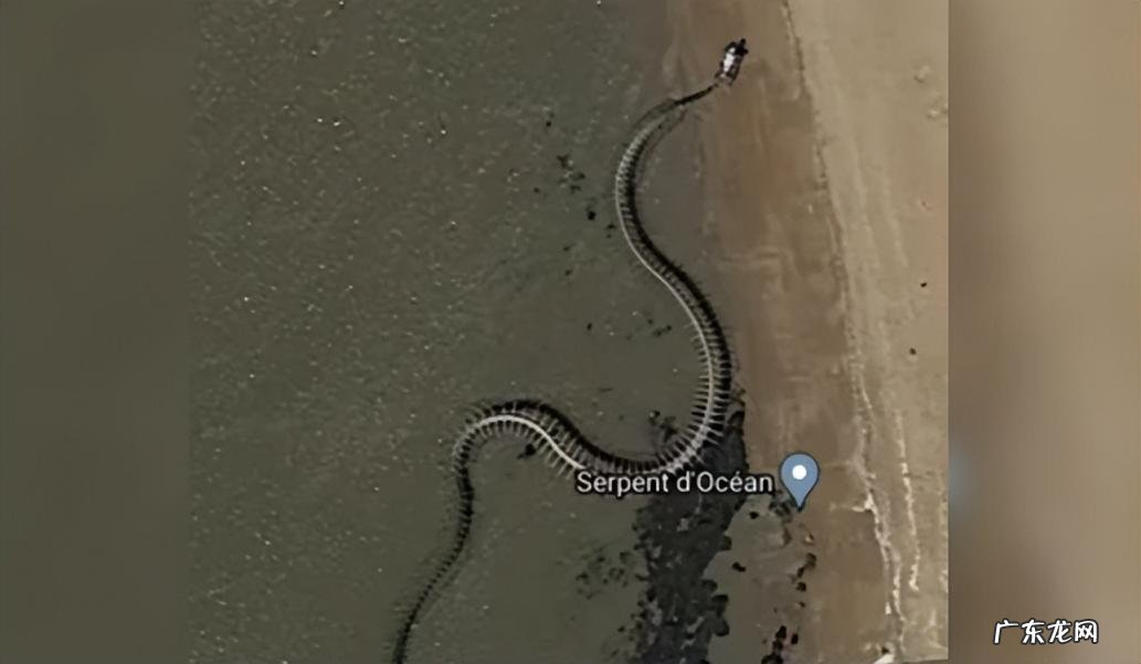 中国最大一条蛇多大乔戈里峰有人登过顶没 中国最大的蛇有多少米