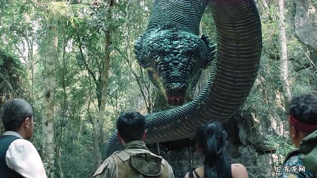 中国最大一条蛇多大乔戈里峰有人登过顶没 中国最大的蛇有多少米