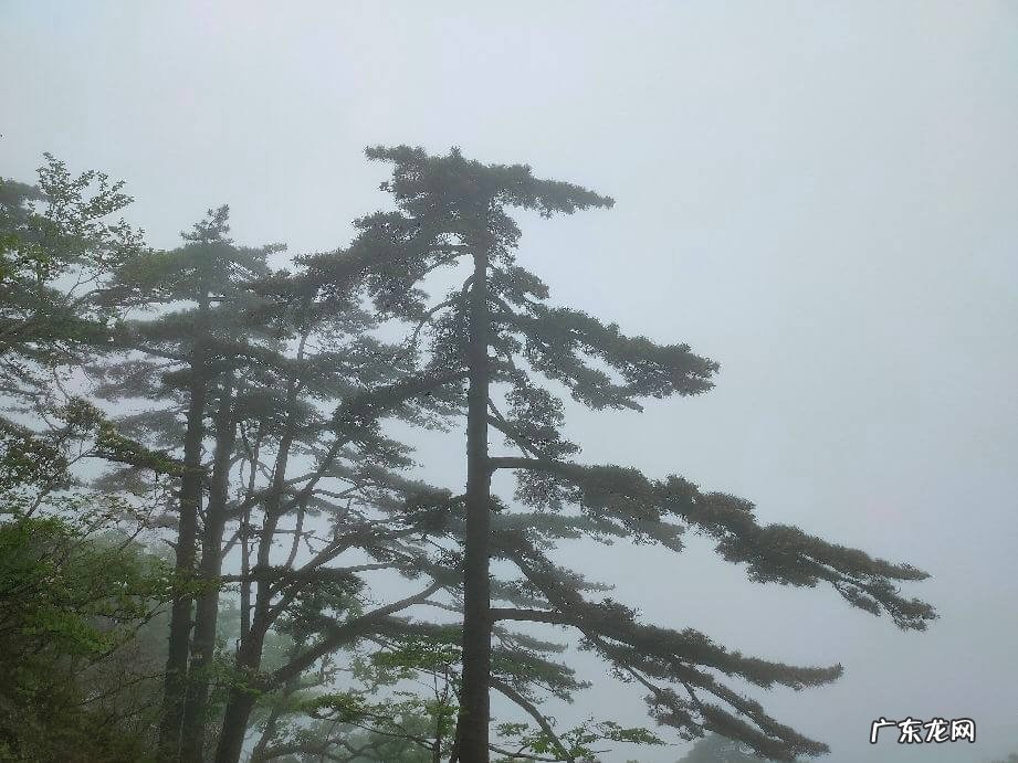 天堂寨瀑布 金寨天堂寨风景区