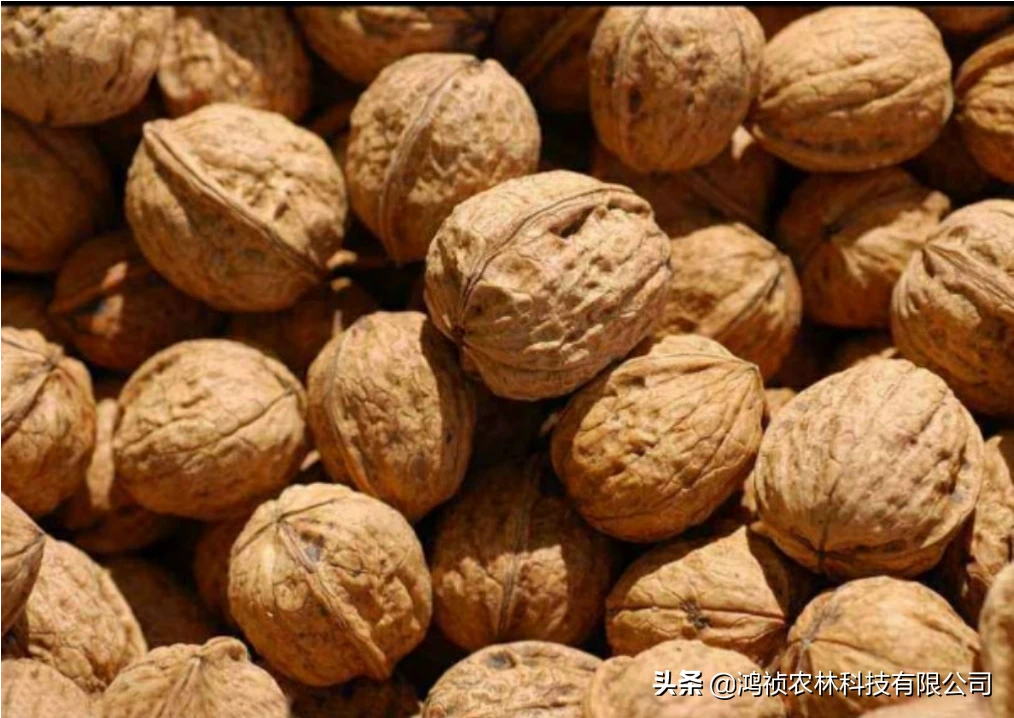 你们那里农村土特产都有什么?