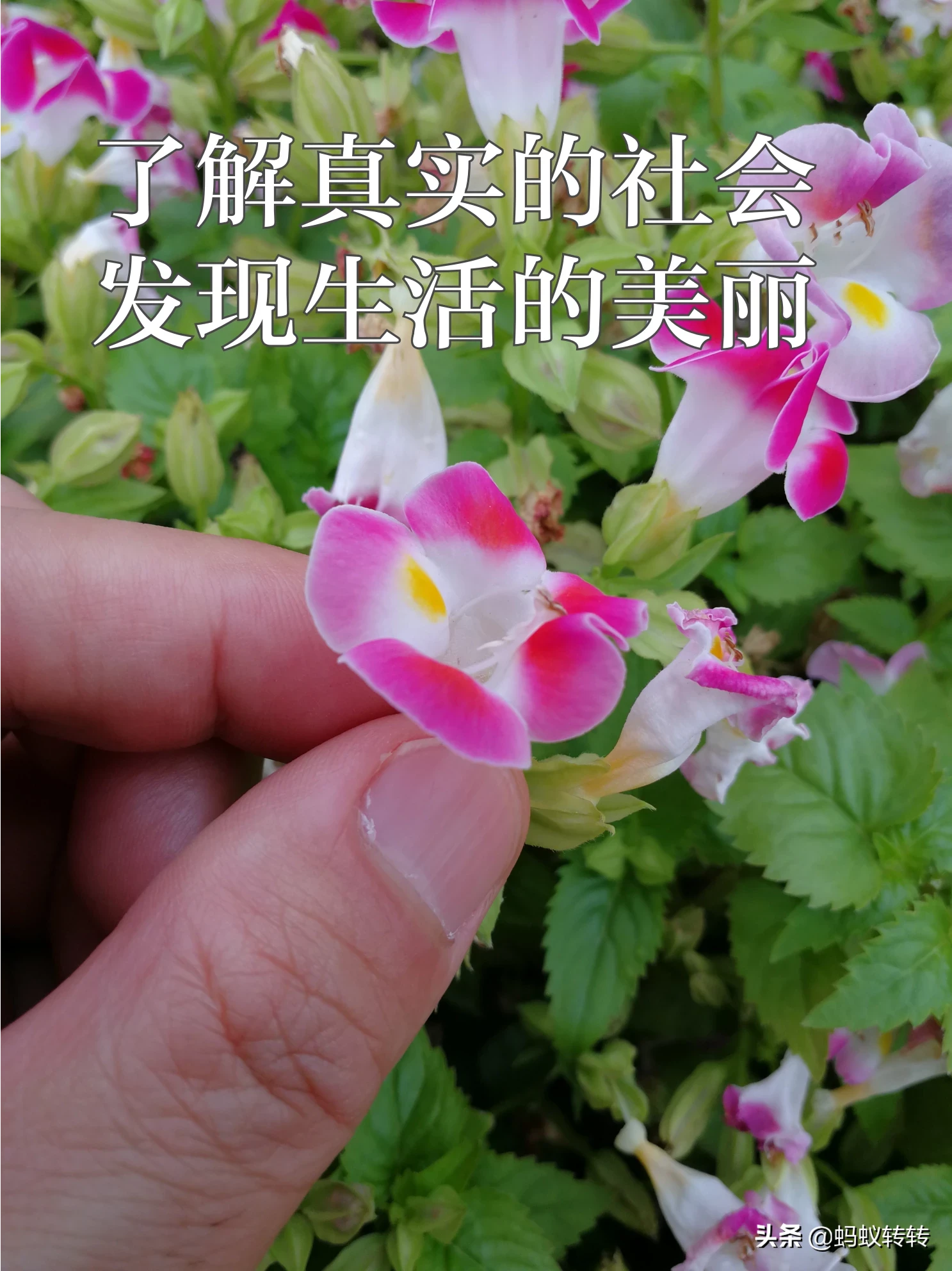 大学班级可以举行的特色活动有哪些?