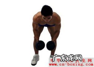 肩部三角肌锻炼方法 哑铃三角肌后束锻炼方法图解