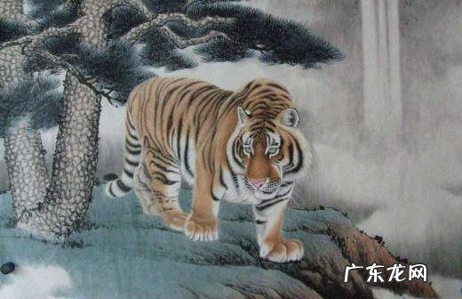 属虎的人2022年生小孩好吗 2022虎年要孩子好吗