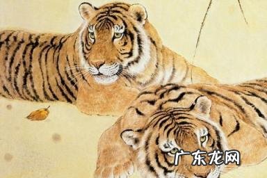 属虎的人2022年生小孩好吗 2022虎年要孩子好吗