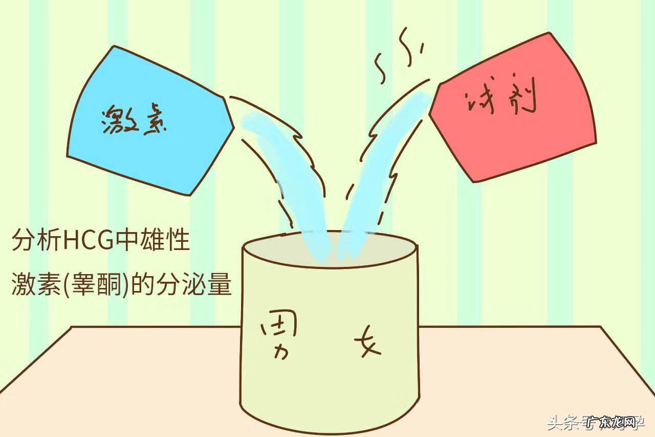 胎儿性别试纸哪里买 胎儿性别试纸准不