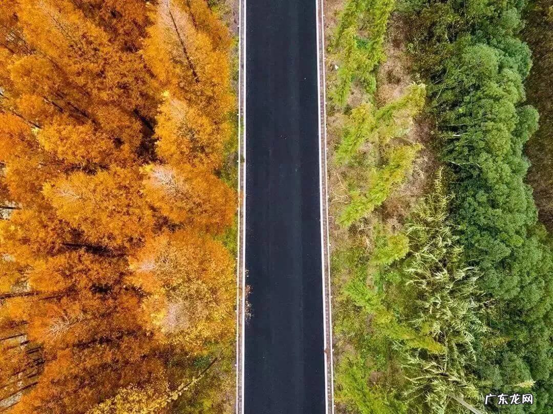 上海滴水湖好玩吗 滴水湖哪里好玩