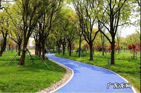 上海滴水湖好玩吗 滴水湖哪里好玩