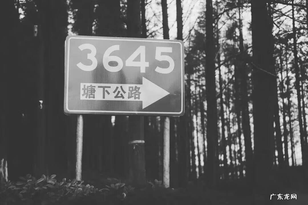 上海滴水湖好玩吗 滴水湖哪里好玩