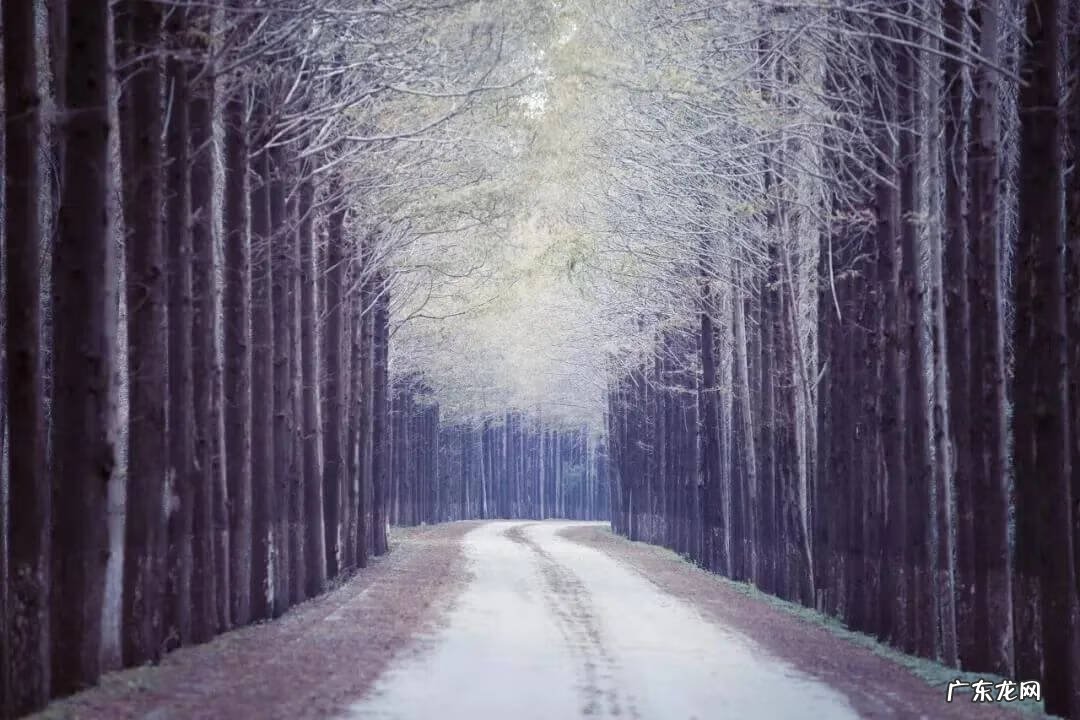 上海滴水湖好玩吗 滴水湖哪里好玩