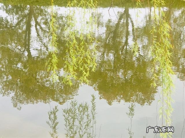 你手机里记录春天最美的照片有吗?怎么样?