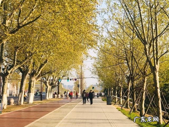 你手机里记录春天最美的照片有吗?怎么样?