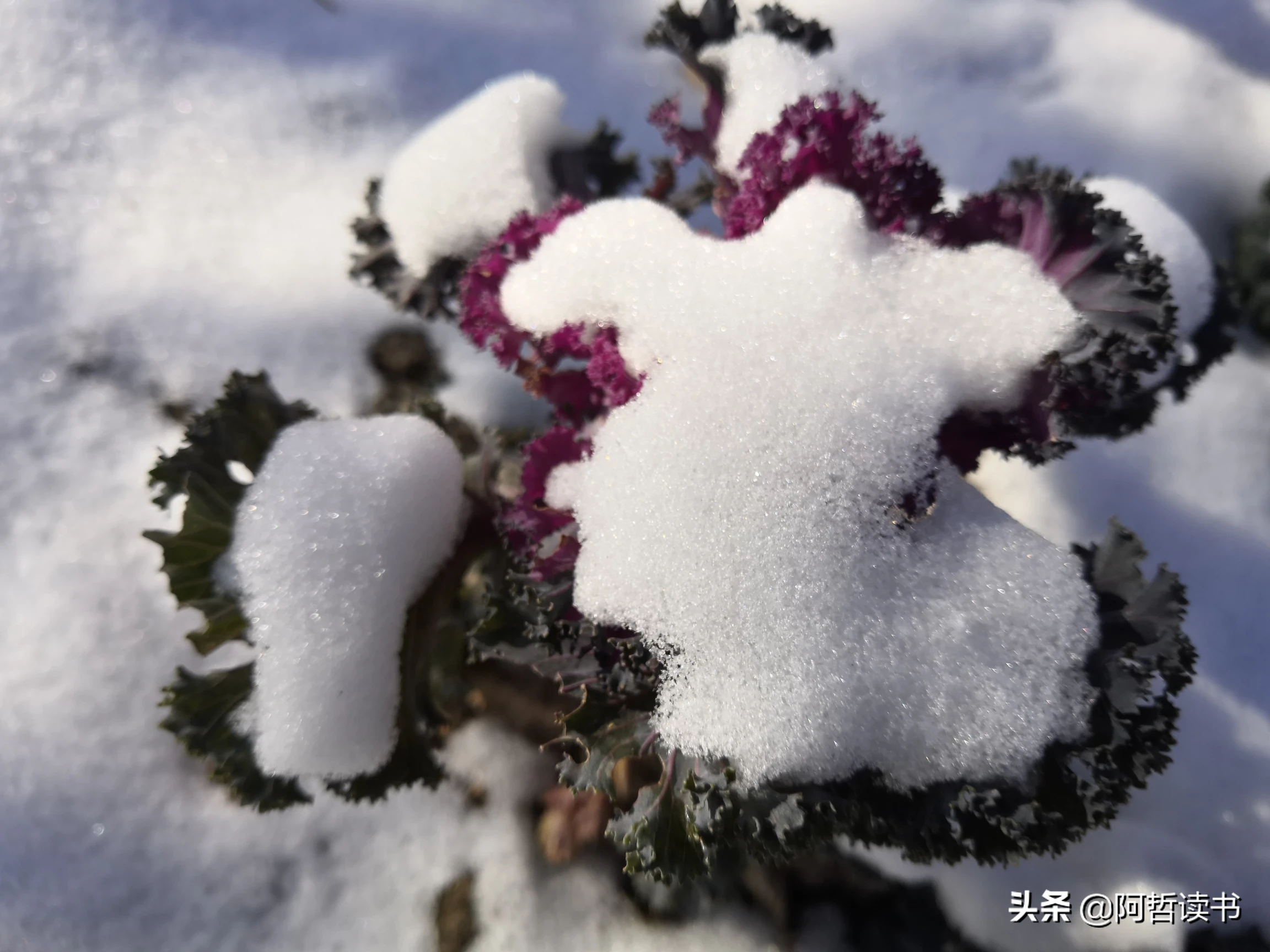 二百五是什么意思，为什么它就成了脏话？