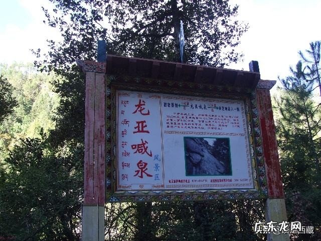 地球上有哪些罕见的自然奇观?