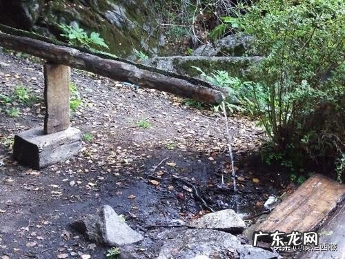 地球上有哪些罕见的自然奇观?