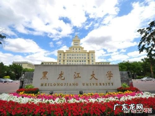 上海外国语大学录取分数那么高为什么排名那么低?