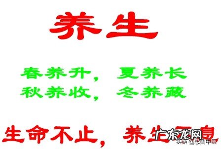 养生真的有用吗?会不会对身体造成伤害?