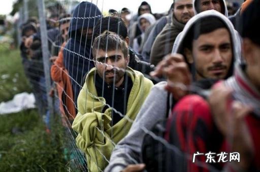 阿富汗难民为什么要逃跑去别的国家? 阿富汗难民为什么要逃离