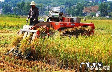 为什么有些人明明很渣却振振有词,一副理所当然的样子?