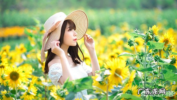 不会逗女孩子开心,该如何和女孩聊天?