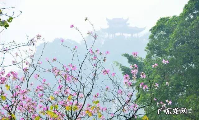 风水福字 广东十大风水福地