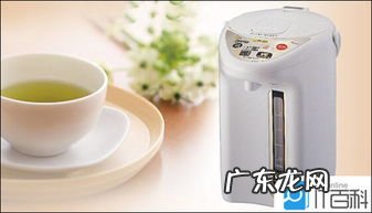 烧水电壶水垢怎样清理 电烧水壶如何去水垢视频教程