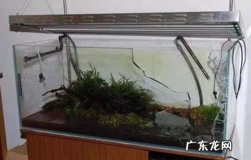 家里鱼缸裂了预示什么 鱼缸自己裂开风水上什么影响