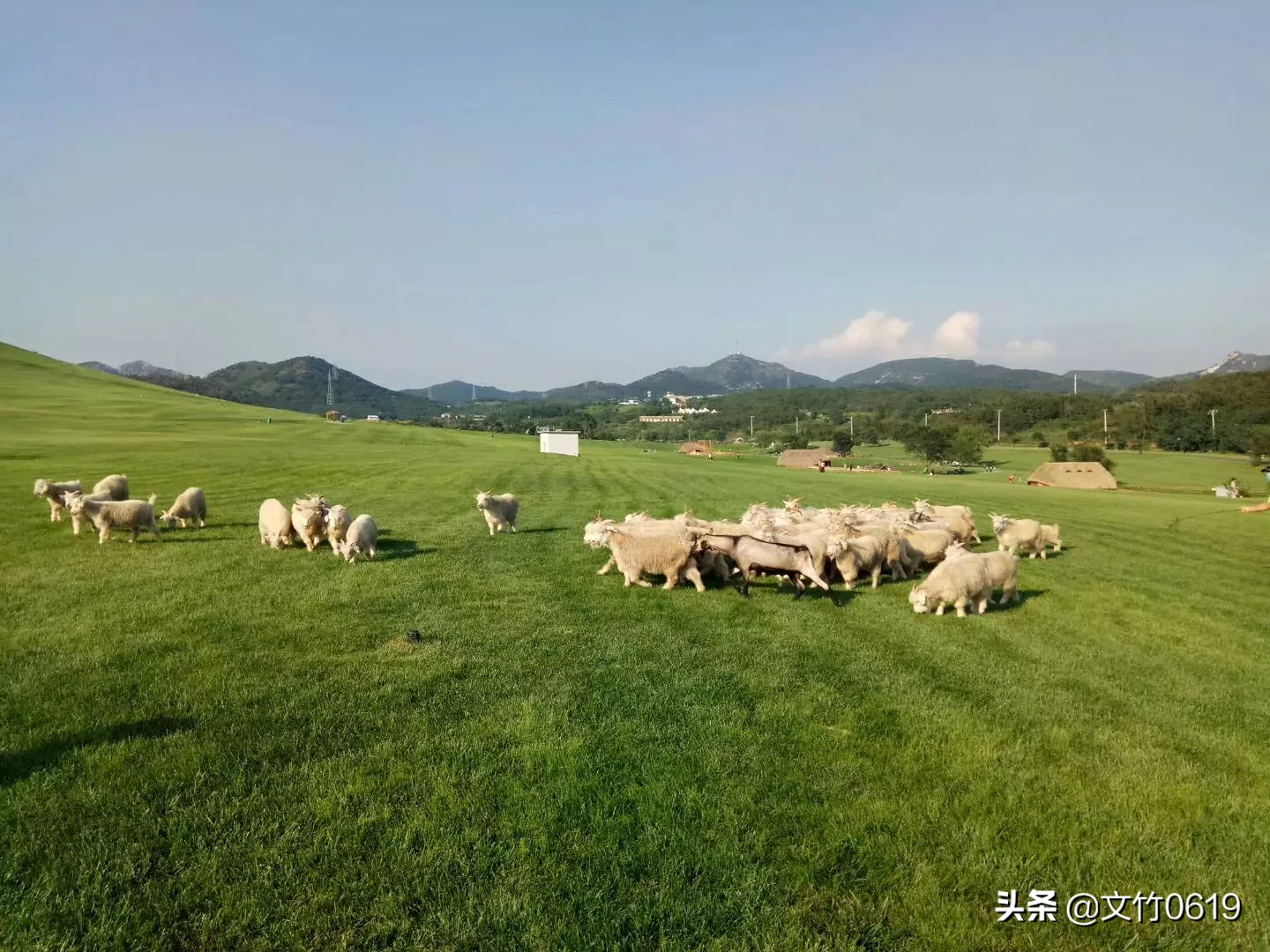 大连哪个区最美?