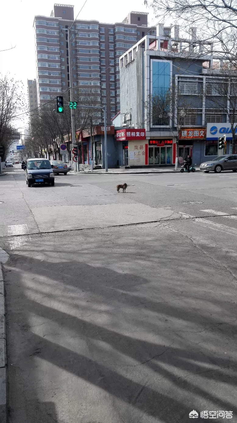 司法考试是买学习包好,还是报网校好?