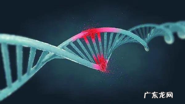 女性宇航员在太空来了例假,该怎么办?