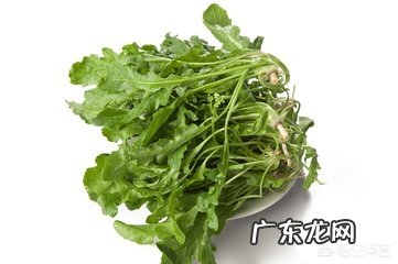 吃荠菜的好处?