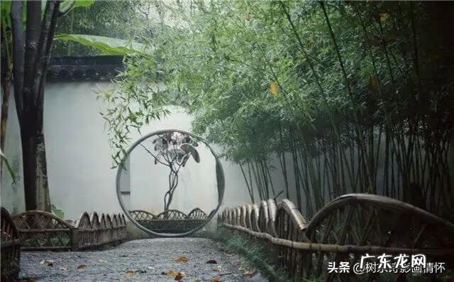 麻雀和凤凰的寓意是什么 麻雀和竹子寓意是什么