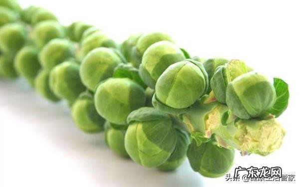 “抗癌食物”究竟能不能起到抗癌作用呢?