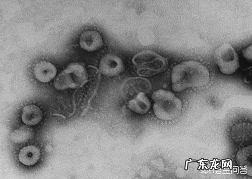 关于新型冠状病毒你知道多少？