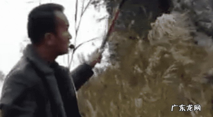 一什么脖子 风水地里龙的脖子