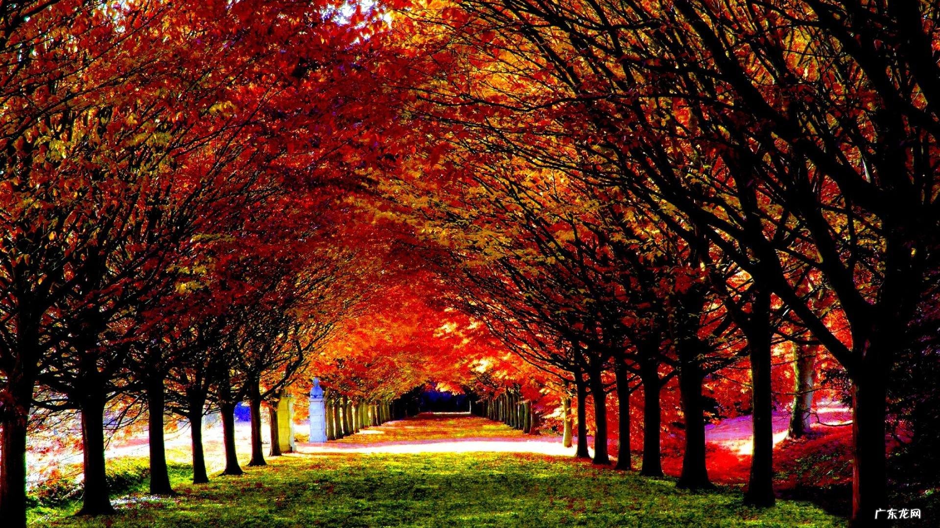 十二生肖当中，谁心理素质很差？