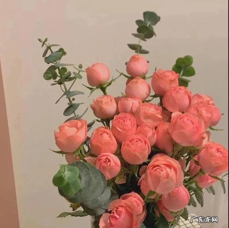 女生说官宣是什么意思 官宣是啥意思啊