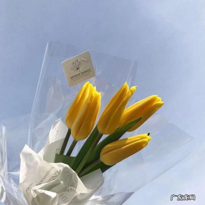 女生说官宣是什么意思 官宣是啥意思啊