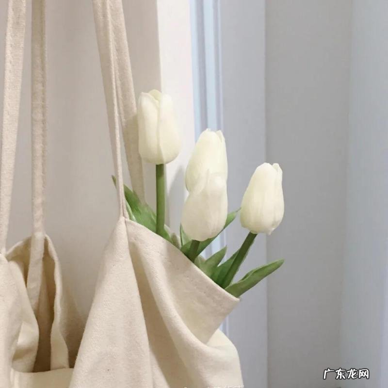 女生说官宣是什么意思 官宣是啥意思啊