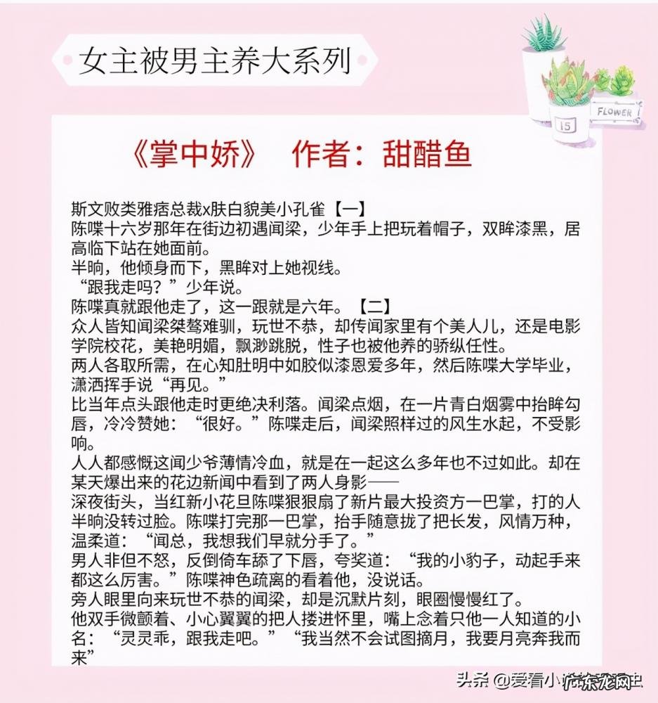 沈南汐的作品 沈南汐爱到浓时情已殇书评