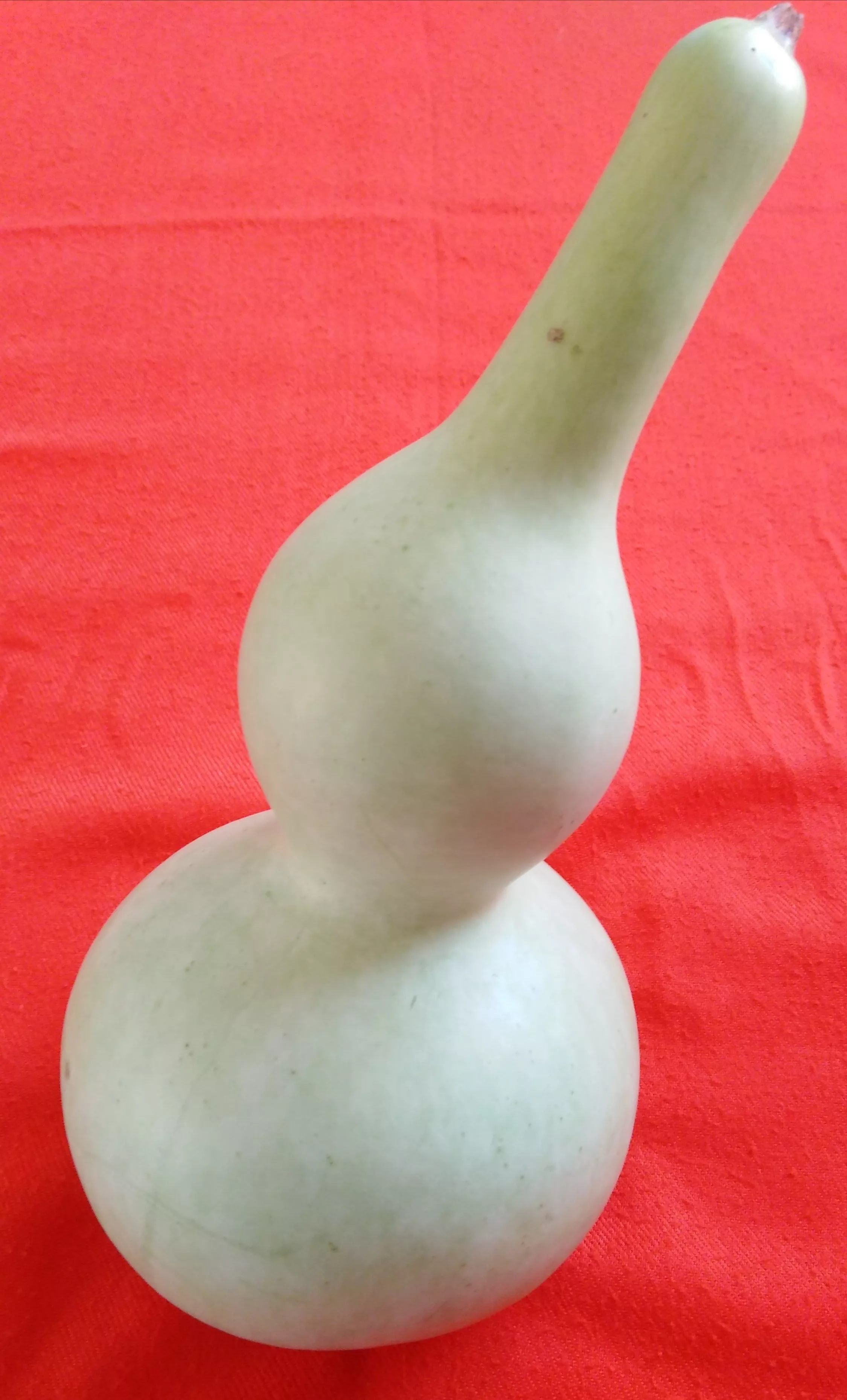 你从一些老一辈人里听到过哪些诡异的民间故事?