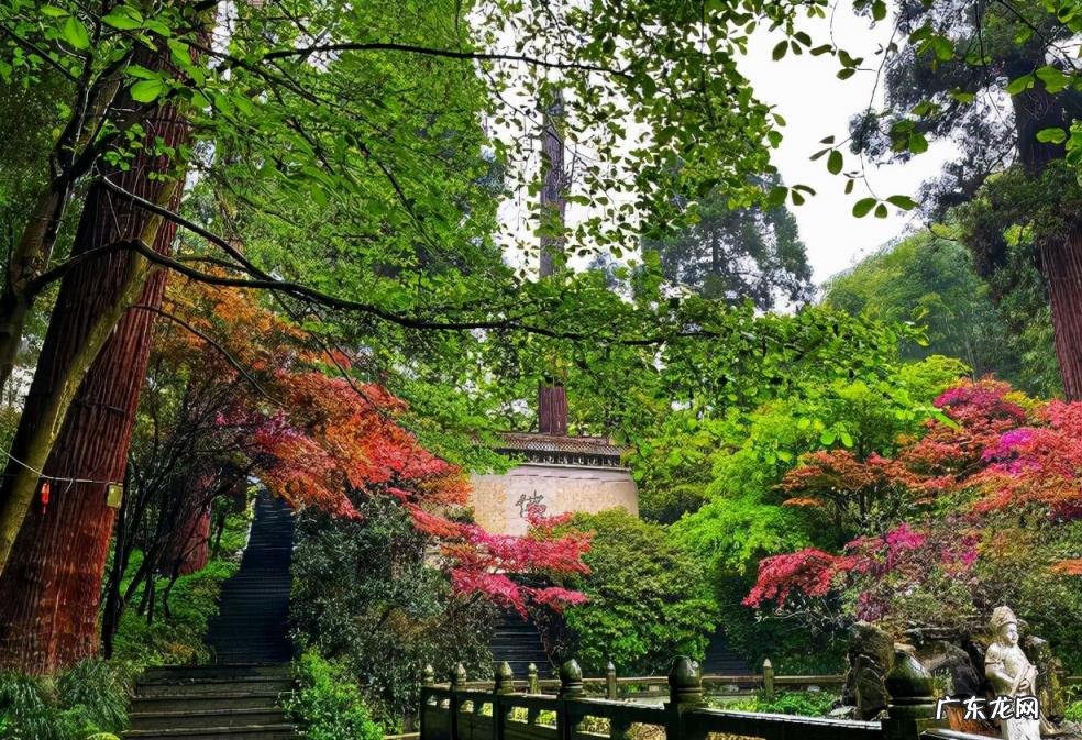 杭州寺庙有哪些 杭州寺庙年卡怎么用