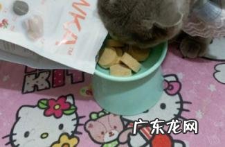 kakato猫粮 咔滋猫粮好吗