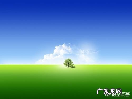 你们的童年是什么样子的?