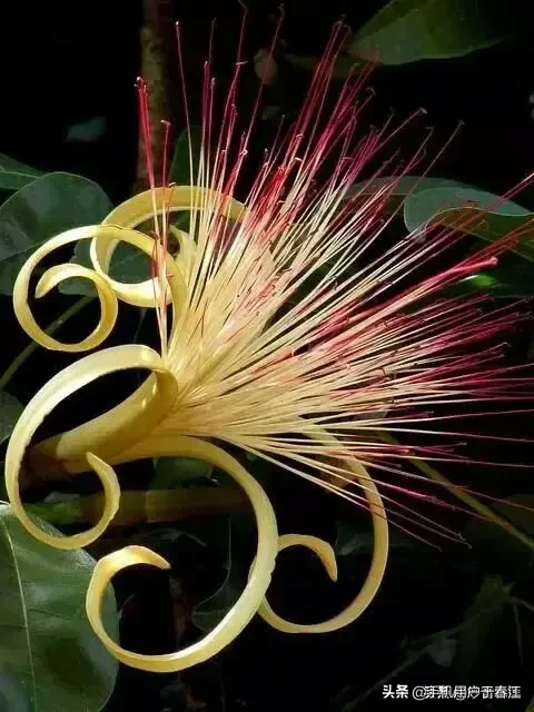 吉他初学者怎么练习才能高效一点？